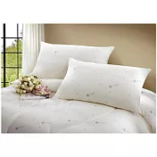 JOANNA 四季透氣枕-2入 台灣製