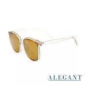 【ALEGANT】絲紋金街頭時尚方框輕量TR90寶麗來偏光墨鏡/UV400太陽眼鏡
