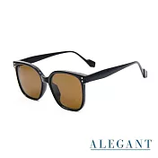 【ALEGANT】田納棕度假風韓版復古時尚中性方框輕量TR90寶麗來偏光墨鏡/UV400太陽眼鏡