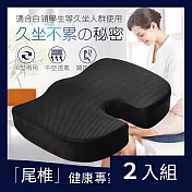 CS22 記憶凝膠慢回彈減壓美臀墊/坐墊-2入