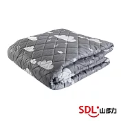 【SDL 山多力】韓國原裝雙人電熱毯(KR3600J) 雲朵灰