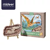 《MiDeer》-- 考古挖掘套組-翼龍 ☆