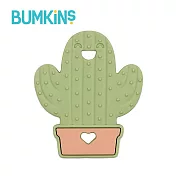 Bumkins 矽膠固齒器- 仙人掌