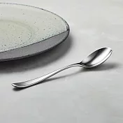 有種創意 - 日本山崎金屬 - AQUATIQUE系列 - 霧面不鏽鋼湯匙  (177 mm)