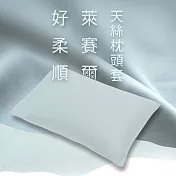 純粹眠|好柔順萊賽爾天絲枕頭套 好眠綠