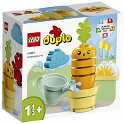 樂高LEGO Duplo幼兒系列 - LT10981 紅蘿蔔種植趣