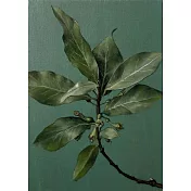 【玲廊滿藝】洪俊銘-綠系列之五30x20cm