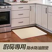 【JP嚴選-捷仕特】原質所仿皮革廚房5080地墊 好事花生