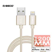 MFi 認證編織線 金