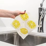 《Cuisipro》植物纖維環保抹布 | 廚房抹布 清潔布 擦拭布 - 黃雷夢