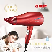 【TAHSIN 達新牌】1400W銀離子抗菌負離子吹風機(TS-2969)