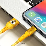 迪士尼 奇奇蒂蒂 Apple iPhone 傳輸充電線 IPOD IPAD 奇奇