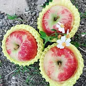 【水果達人】嚴選大顆 紐西蘭蜜蘋果6顆* 4盒(250g/顆)