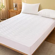 【Galatea 葛拉蒂】雙人加大 抗菌保潔墊1入