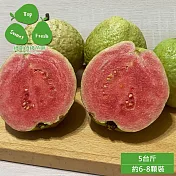預購【綠創頂級芭樂】100%友善耕種 高雄大樹產地直送-紅鑽石芭樂5台斤(約6-8顆)