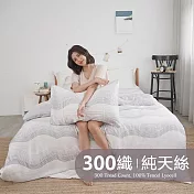 《BUHO》台製300織100%TENCEL純天絲™床包枕套三件組-雙人加大《卡羅光恆》
