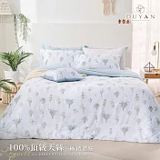 【DUYAN 竹漾】40支100%天絲雙人加大床包被套四件組 / 藍花琉璃 台灣製