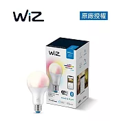 Philips 飛利浦 Wi-Fi WiZ 全彩球泡 (PW04N)