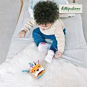 【比利時Lilliputiens】感統方塊-傑克寶貝獅