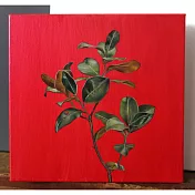 【玲廊滿藝】洪俊銘-綠系列-7-25x25cm