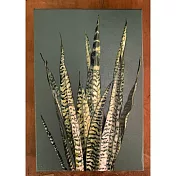 【玲廊滿藝】洪俊銘- 綠系列-15-30x20cm