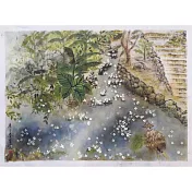 【玲廊滿藝】官瑛-浪漫五月雪37.5x52cm