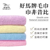 【OKPOLO】臺灣製造馬卡龍毛巾-12入組(吸水厚實柔順) 綜合