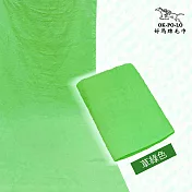 【OKPOLO】台灣製造家用素色浴巾-2條組(100%棉 超強吸水) 綠色
