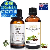 【 Warm 】森林浴系列茶樹精油100ml+美國初榨荷荷芭油100ml(抗菌淨化,安撫情緒)