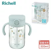 【Richell 利其爾】AX系列 幻夢 320ml 吸管水杯 - 三款任選 漂浮