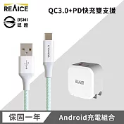 【REAICE】 PD20W 快速充電頭+USB-A &Type-C耐用編織充電線 綠色