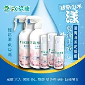 【次綠康】精緻水漾乾洗手液60mlx3+噴頭款500ml*2(HWWS-N1133) 白色