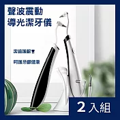 CS22 VIBRATION 高效多功能電動潔牙沖牙器2色-2入 黑色