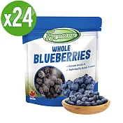 Frenature富紐翠 加拿大A級冷凍藍莓 320g x 24包【冷凍宅配】