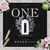 【Allegrini 艾格尼】ONE系列 精華洗髮精 500ml