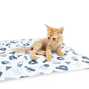 【IBIYAYA依比呀呀】沁夏森林冰鋒寵物涼墊-初戀密碼