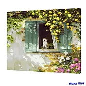 [HOMEHERE] DIY數字油畫/ 貓咪的優閒午後