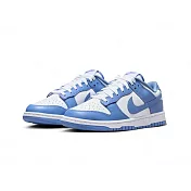 Nike Dunk Low Polar Blue 極地藍 DV0833-400 US9.5 極地藍