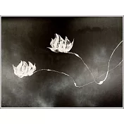 【玲廊滿藝】馬靜志 Ching Ma-玉蓮雙飛不染塵70x100cm