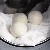 羊毛速乾烘衣球-3入x4盒