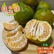 預購【橘之緣】台中東勢27A椪柑9斤禮盒x1箱(約21~23顆/箱_產地直送_常溫宅配_橘子)