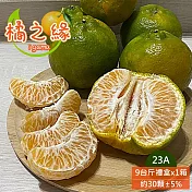 預購【橘之緣】台中東勢23A椪柑9台斤禮盒x1箱(約30~32顆/箱_產地直送_常溫宅配_橘子)