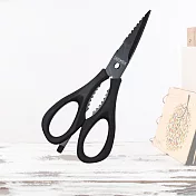 仙德曼多功能不鏽鋼鍍鈦廚房剪刀-黑色-2支