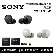 【註冊送100】SONY 索尼 WF-1000XM5 主動式降噪 真無線入耳式耳機 台灣公司貨 黑色