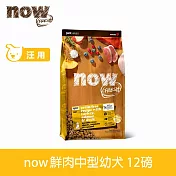 Now! 即期品(效期25.09.04) 幼犬/懷孕犬鮮肉配方 12磅 狗狗無穀天然糧 | 狗糧 狗飼料 火雞 鴨肉 鮭魚 挑嘴