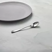 有種創意 - 日本山崎金屬 - AQUATIQUE系列 - 霧面不鏽鋼點心匙  (138 mm)