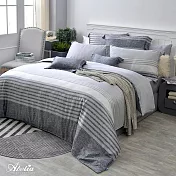 英國Abelia《靜謐日子》雙人天絲木漿四件式防蹣抗菌吸濕排汗兩用被床包組