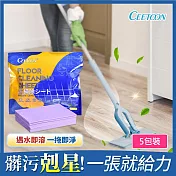 【日本CEETOON】多功效地板清潔片/家用地板清潔劑一次性 5包裝(30片1包)