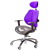 GXG 高雙背網座 工學椅(鋁腳/T字扶手)  TW-2806 LUA