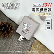 【正版授權】SNOOPY史努比 GaN氮化鎵 PD 33W充電器 經典復刻色系 鳳梨酥系列 大廚(奶茶)